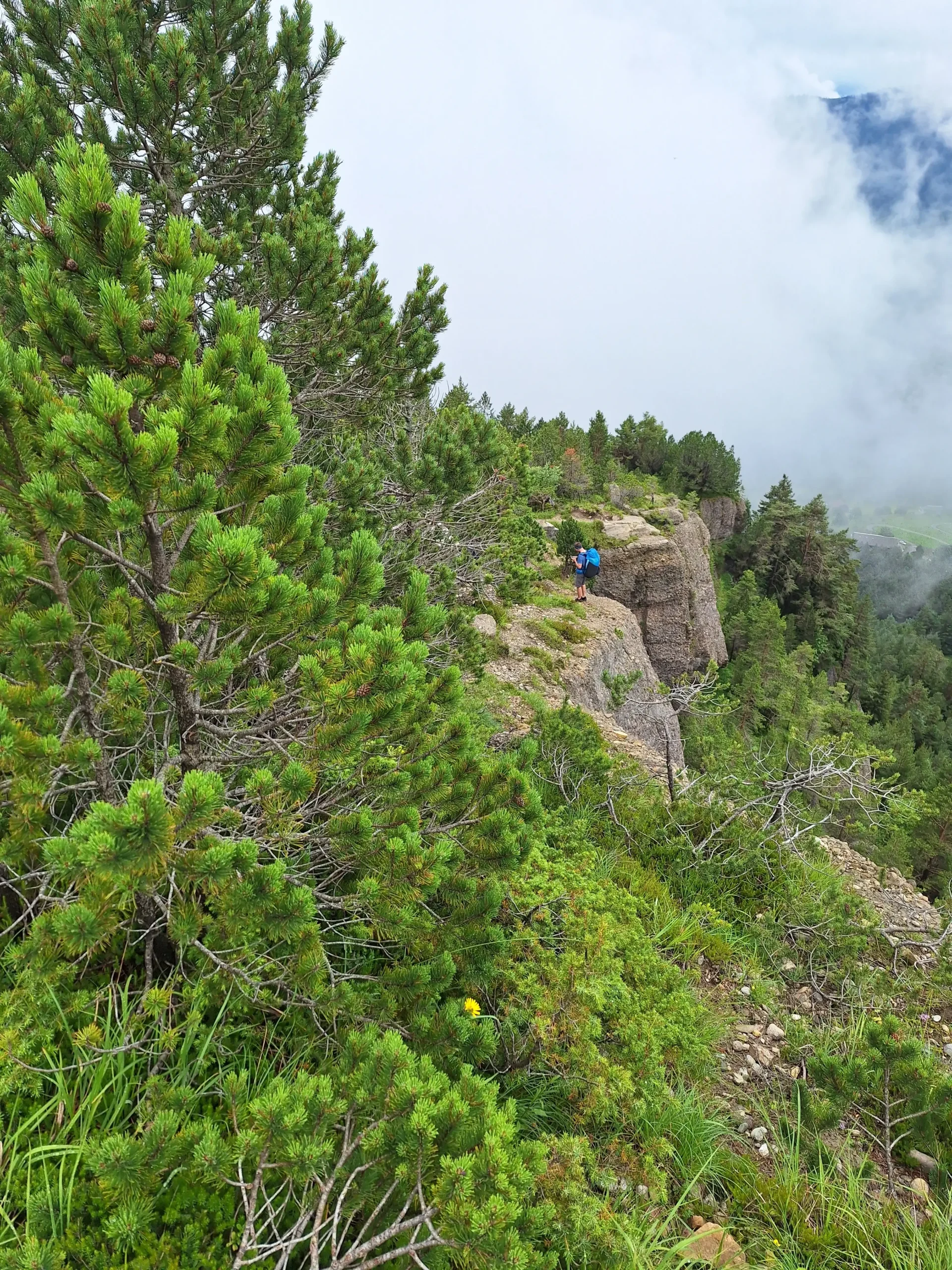 Hike & Fly Piloten auf dem Panoramaweg zum Gnipen-Startplatz, der Weg führt unter felsigen Passagen hindurch.